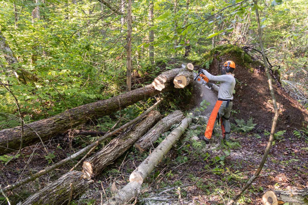 Brush clearing work in a neglected field and access path area