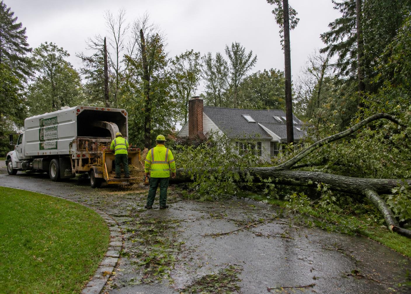 Cleared lot with stacked timber and heavy equipment