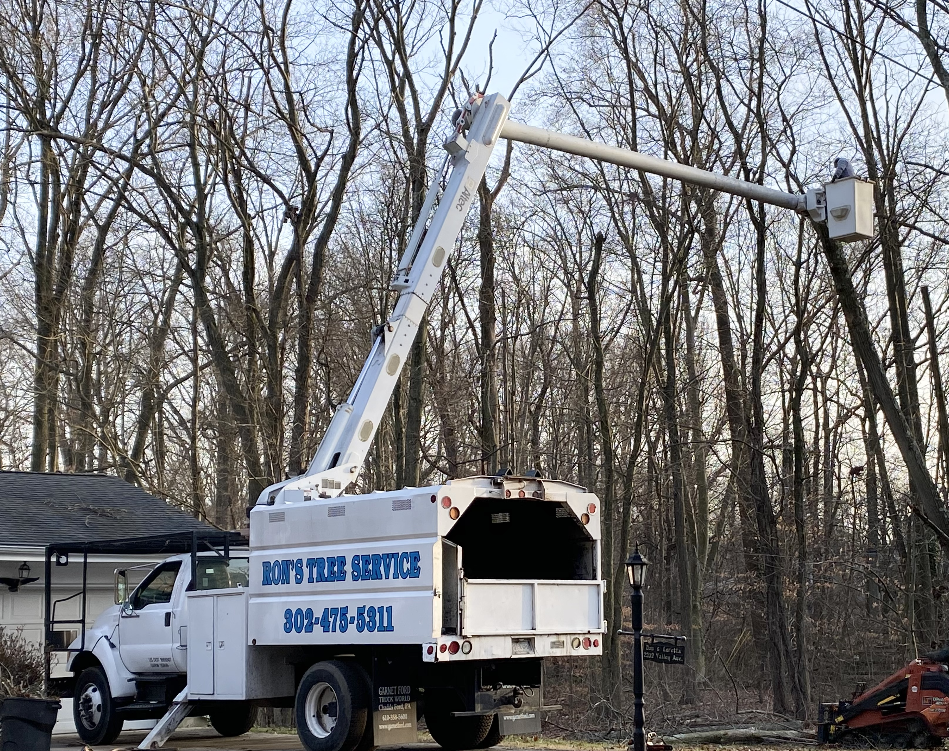 Tree service crew trimming an oak tree at a residential property